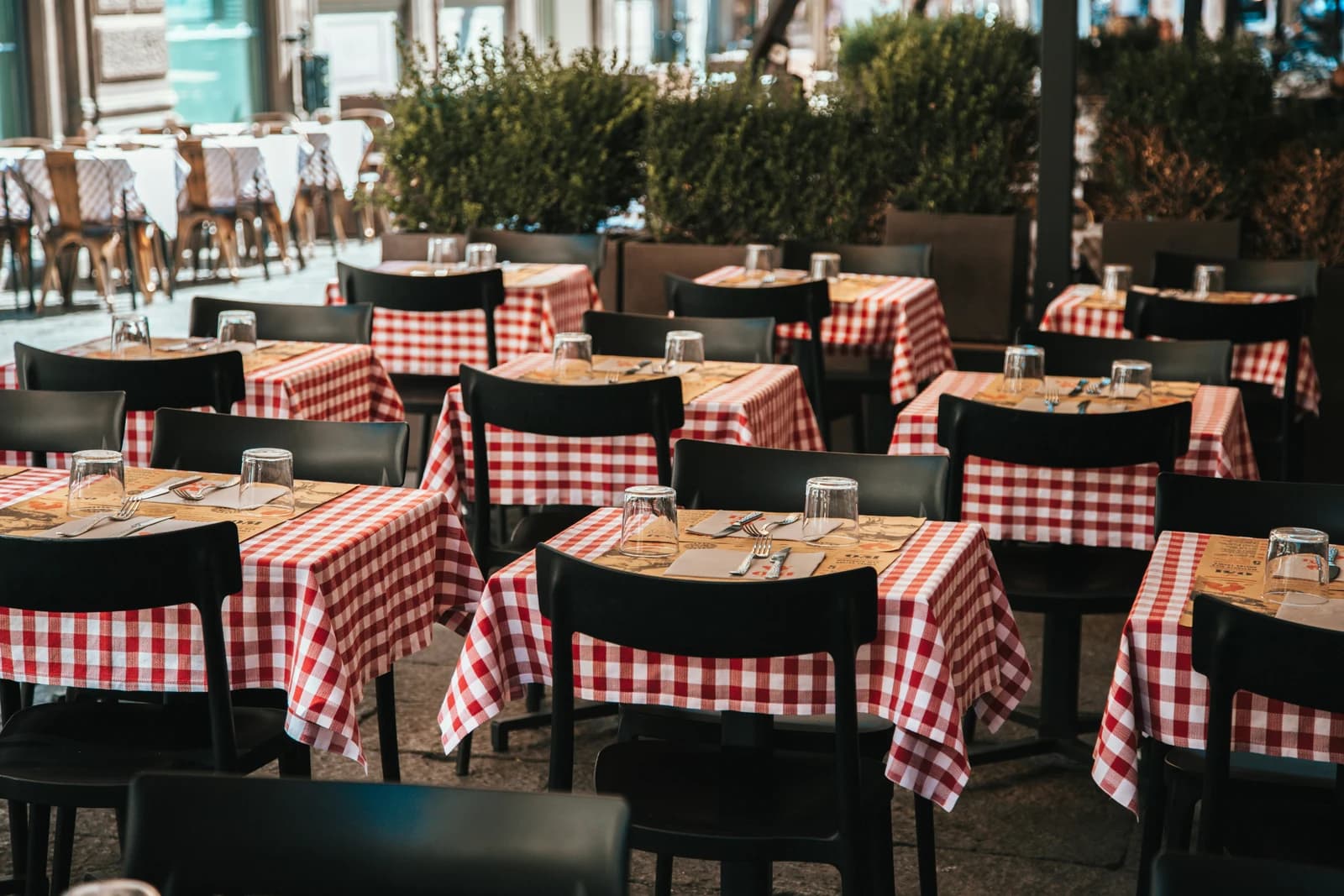 INDIGO: Modern Indian Cuisine & Bar